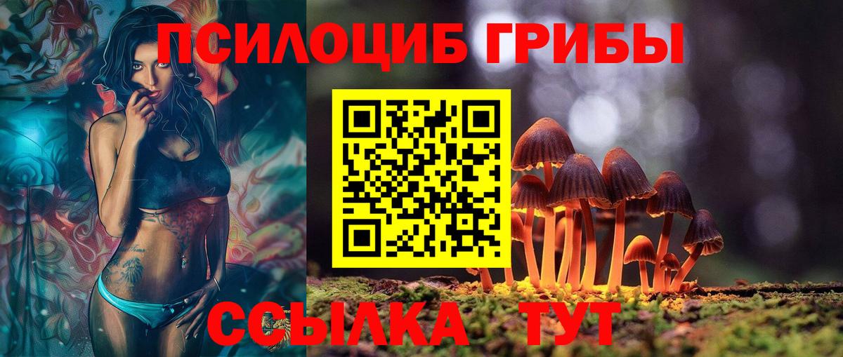 Псилоцибиновые грибы Magic Shrooms  Дубна  Галлюциногенные грибы MAGIC MUSHROOMS 